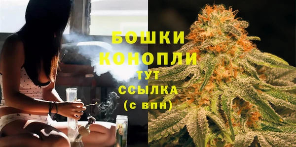 шишки Вяземский